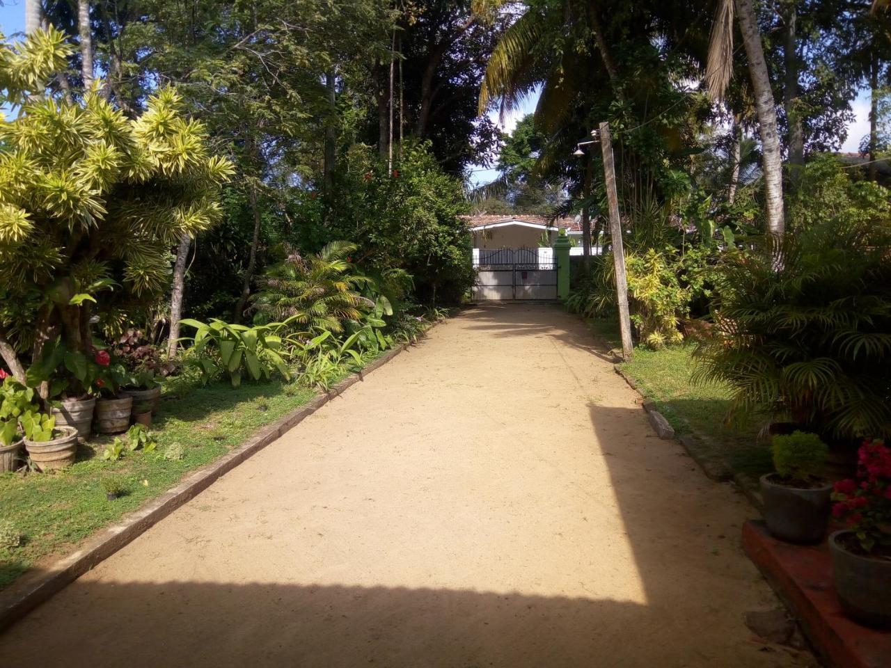 Shenya Villa Bentota Exteriér fotografie